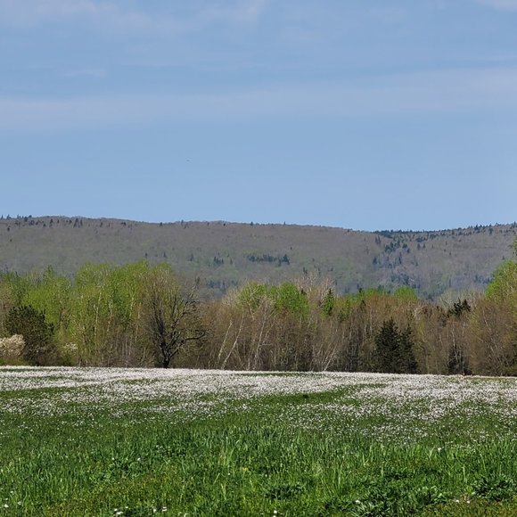 Meet your Posher, Traeic - Picture 8 of 16